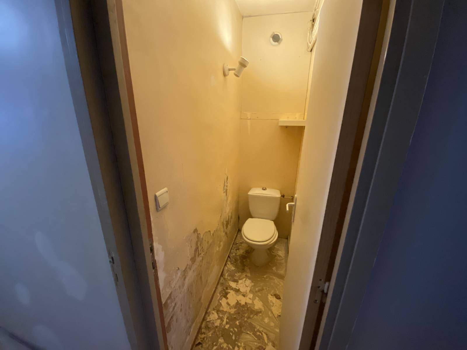 Rénovation peinture et sol de toilettes après dégâts des eaux à Toulouse rue des Frères-Lion