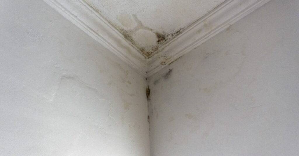 entreprise spécialisée dans le traitement de l'humidité Toulouse